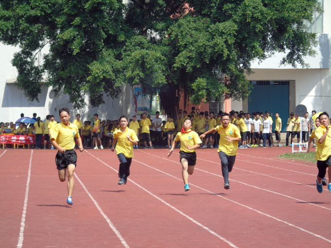 短跑运动员_短跑运动员收入
